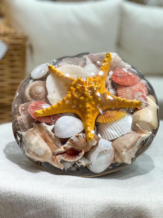 Sea Shells Basket
