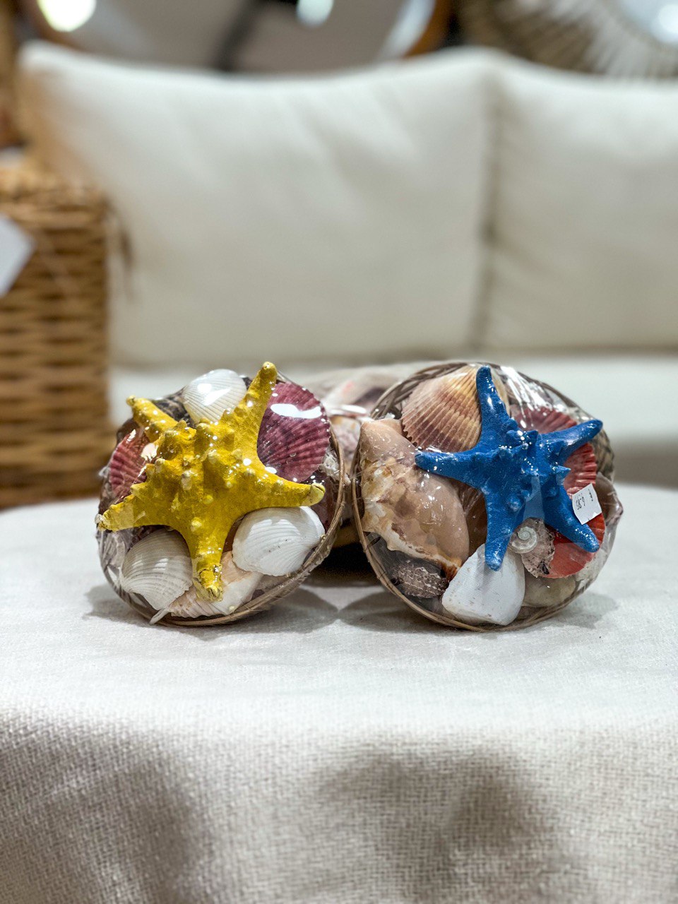 Sea Shells Basket