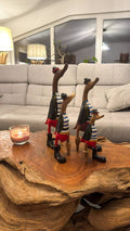 Pirate Duck Family
