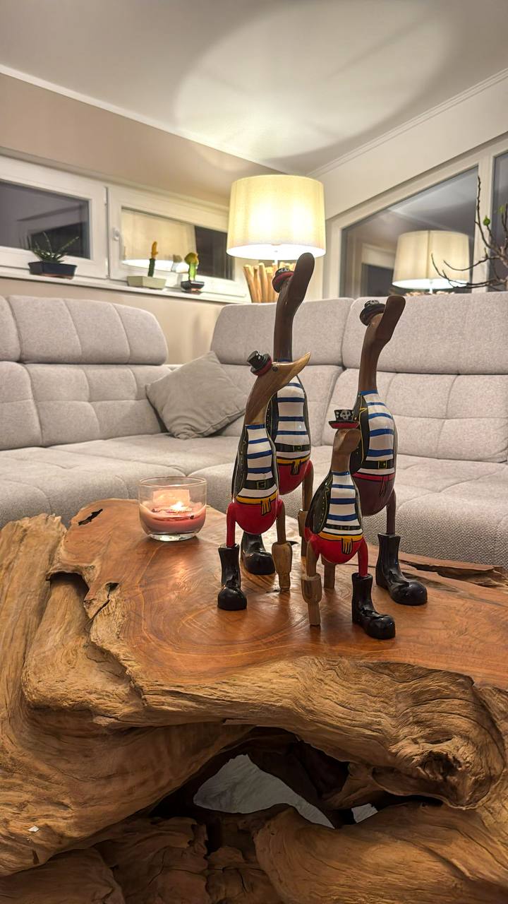 Pirate Duck Family