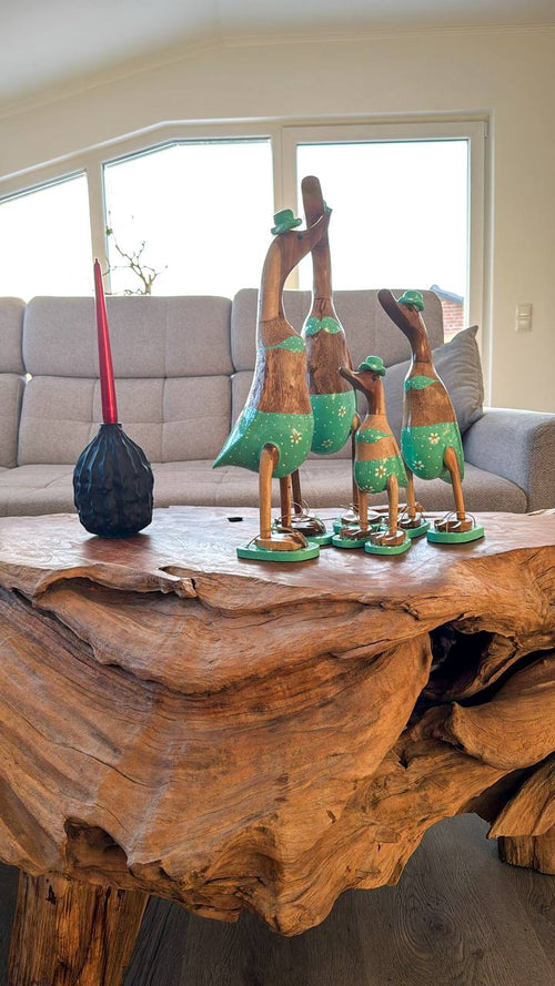 Sea Beach Duck Family (Green Swimsuit)