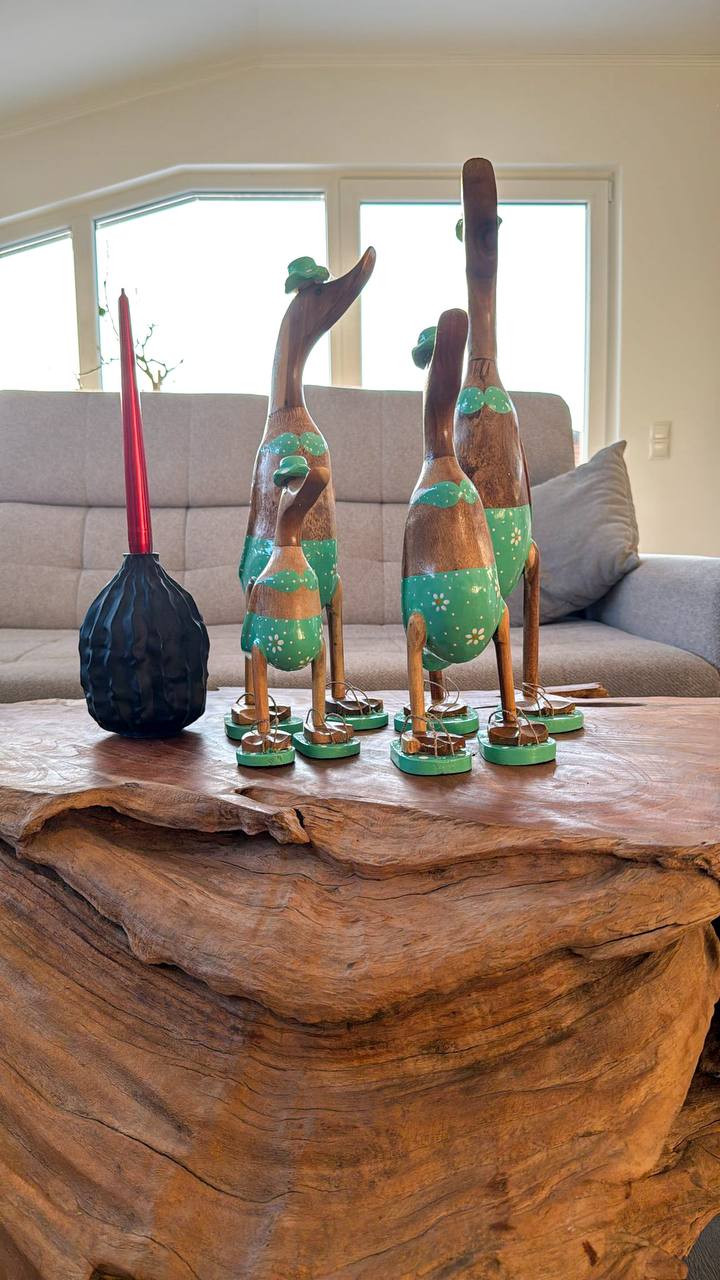 Bade Enten Familie (Grüner Badeanzug)