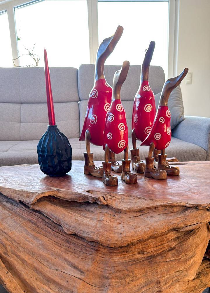 Duck family (red clothing)