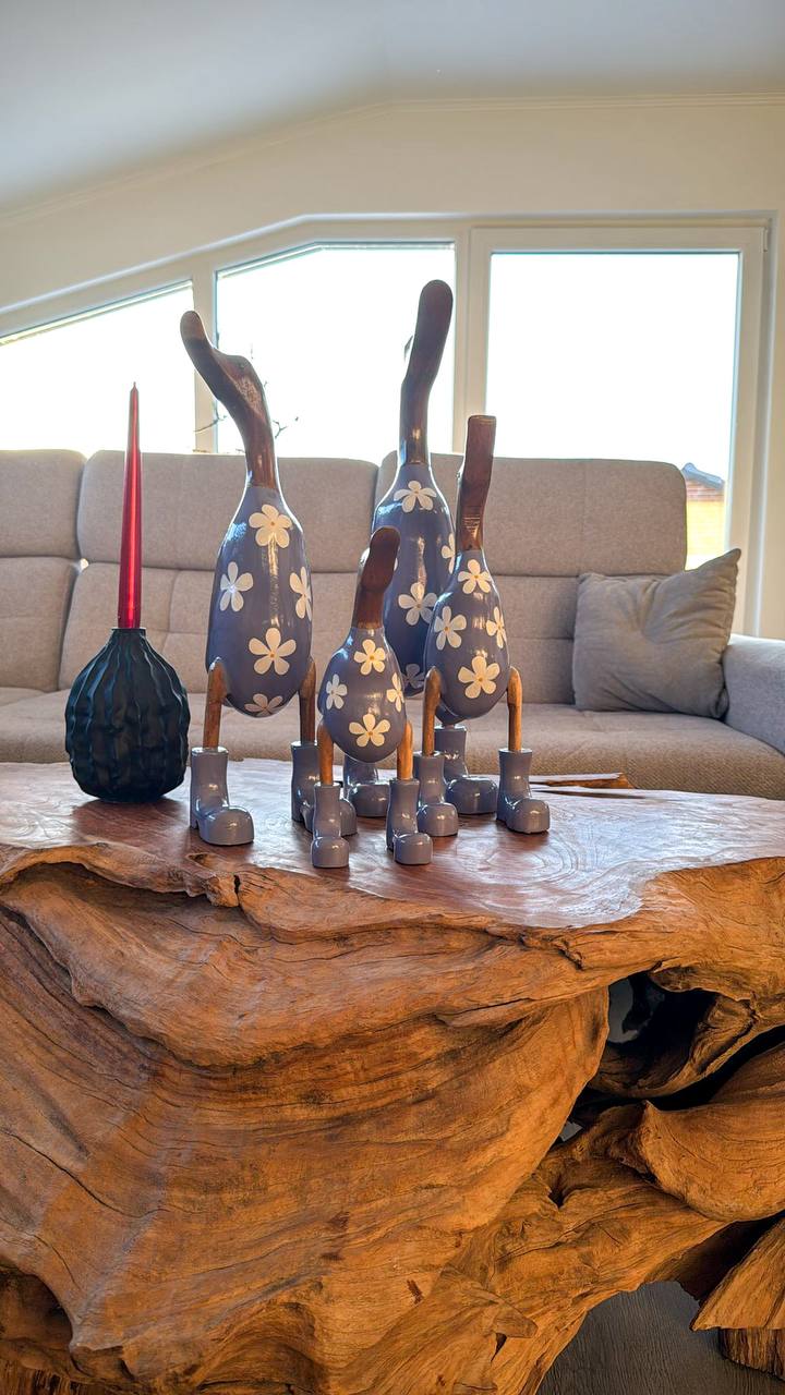 Enten Familie (Anzug mit Blumen)