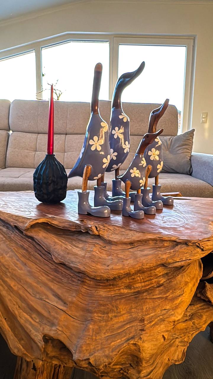 Enten Familie (Anzug mit Blumen)