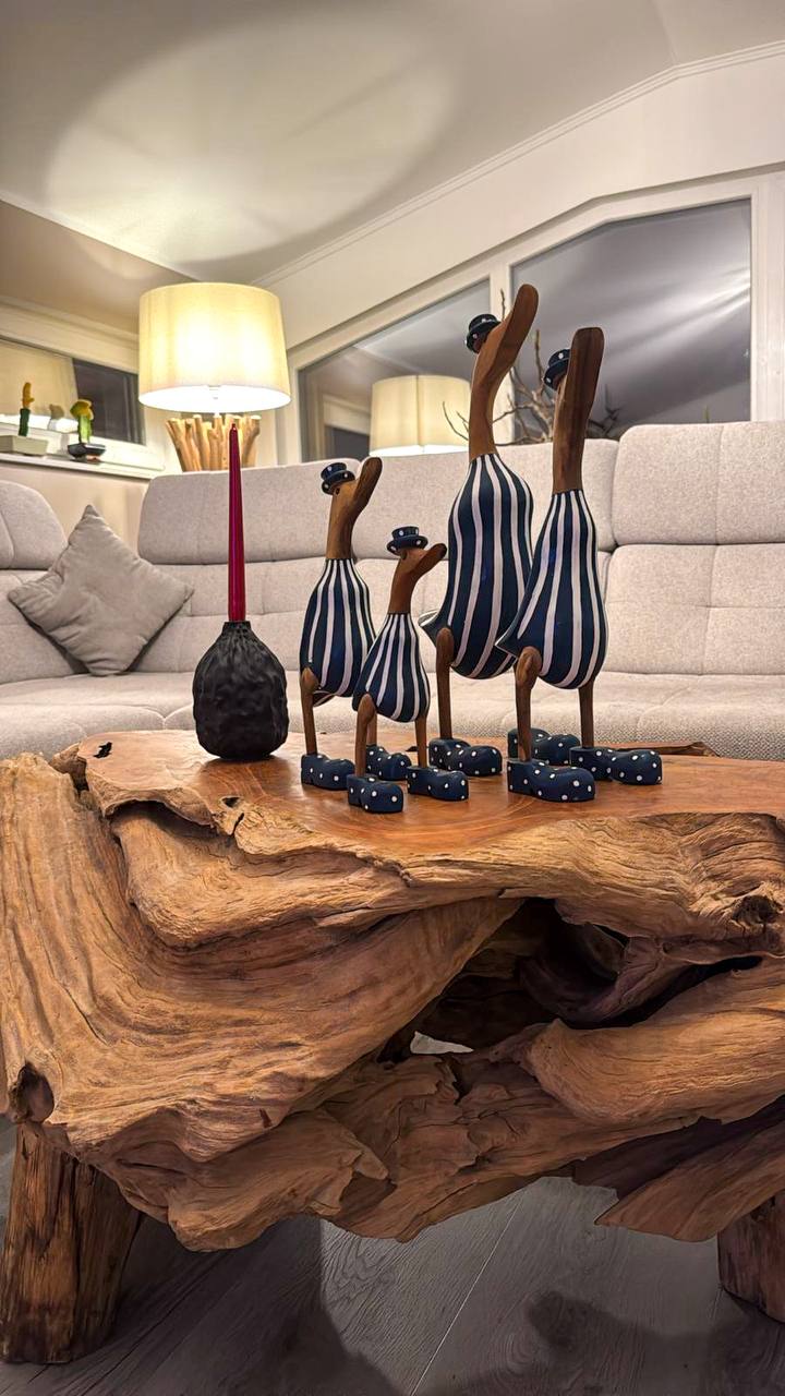 Duck family (striped blue suit)