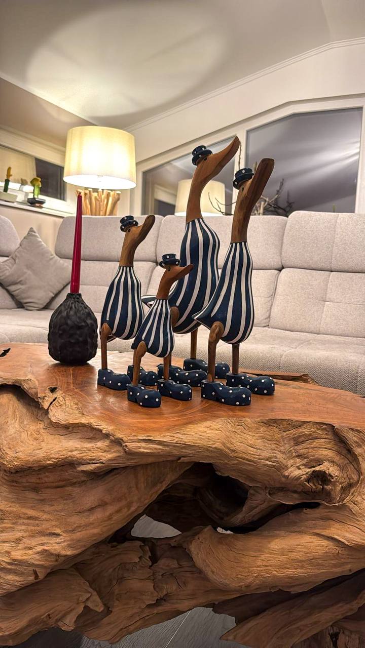 Duck family (striped blue suit)