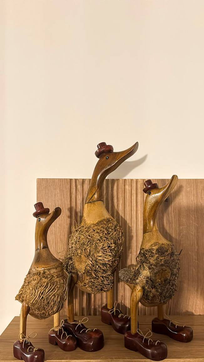 Nature Ducks