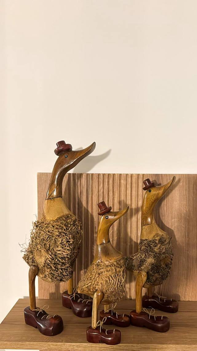 Nature Ducks