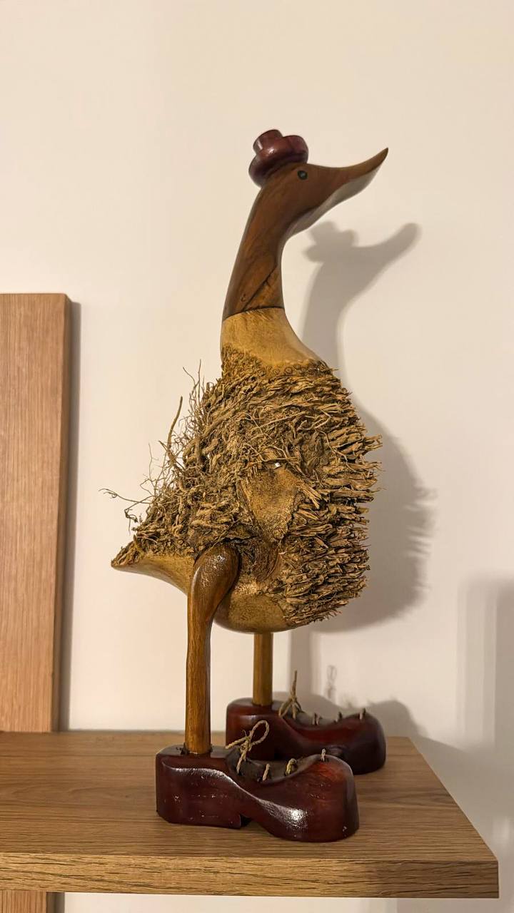Nature Ducks
