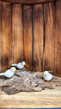 Wooden figures “Birds on Root Wood” (Set of 3)