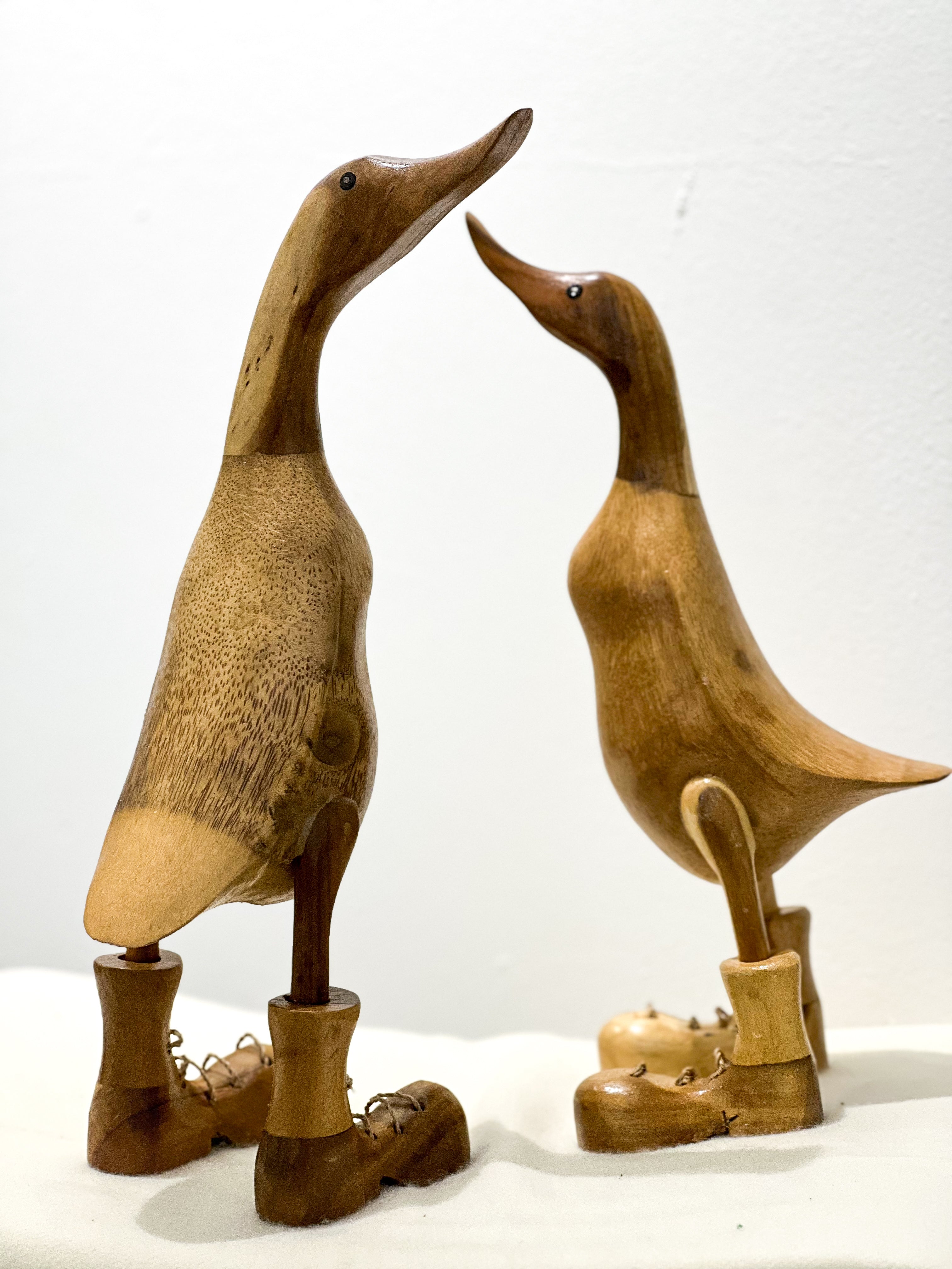 Natural Colour Duck Family