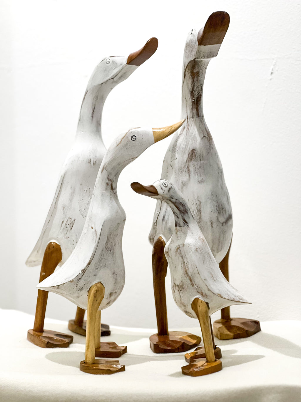 White Duck Family