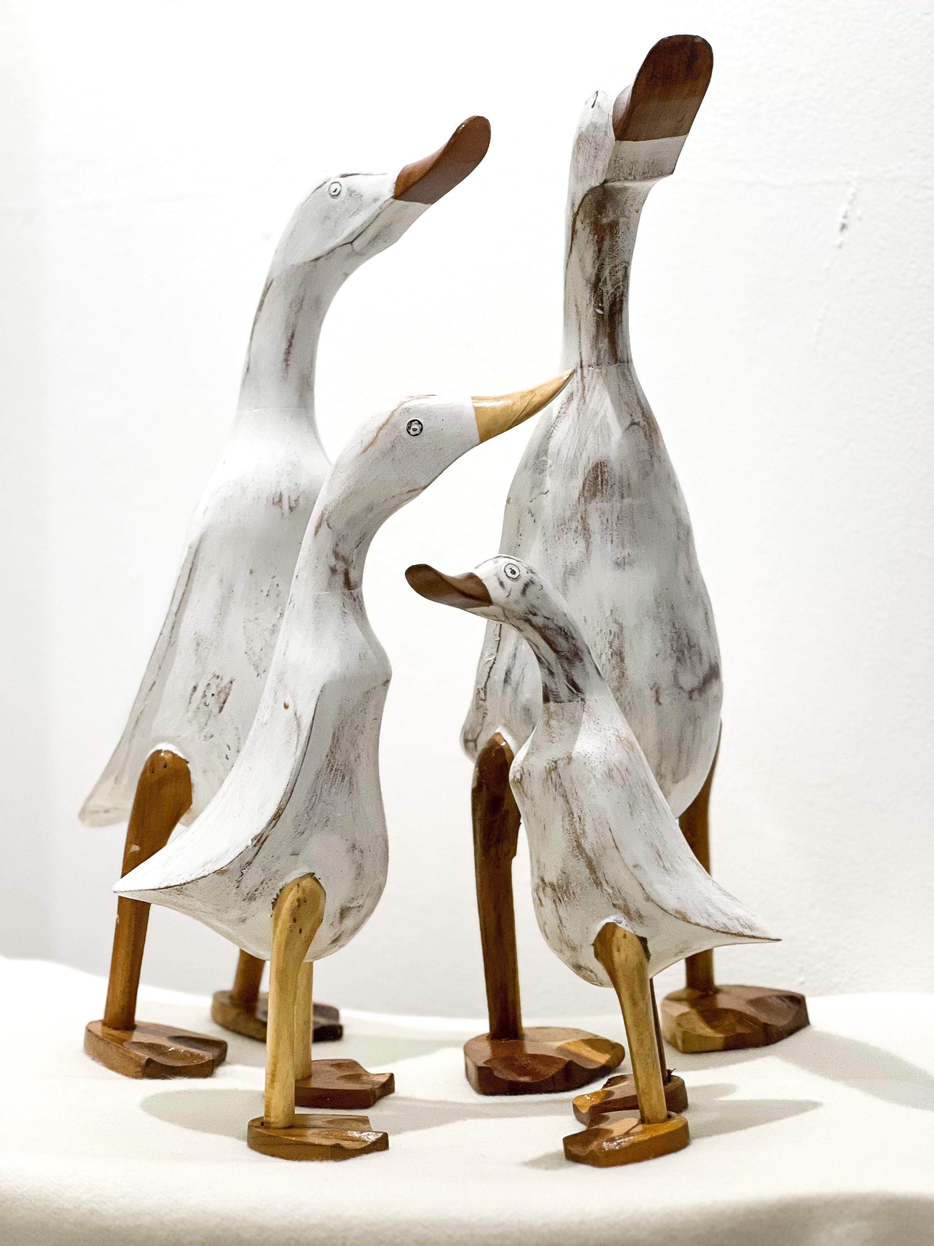 White Duck Family
