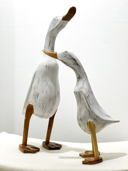 Weiße Enten