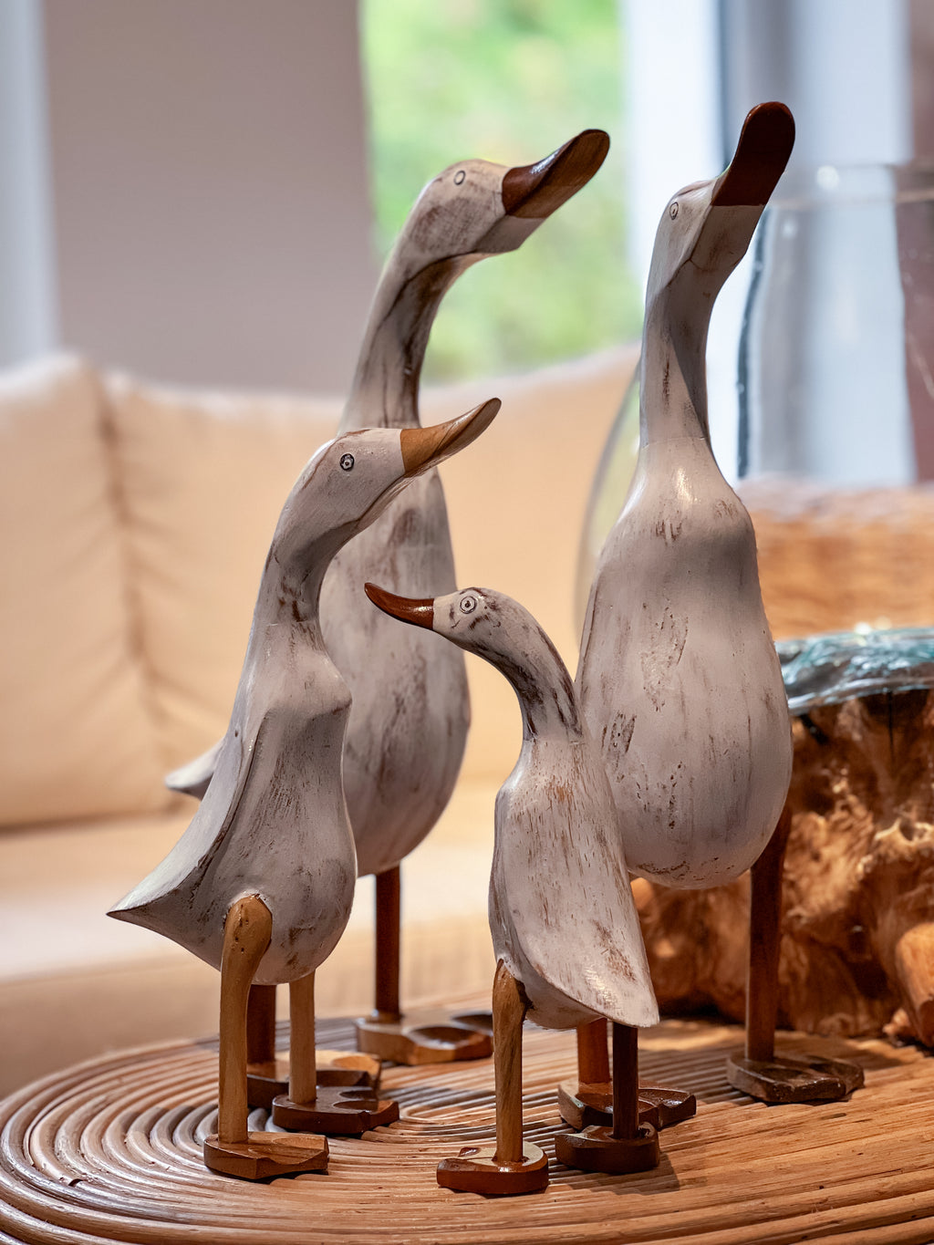 White Duck Family