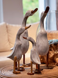 White Duck Family