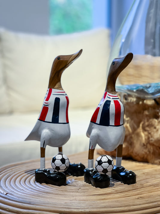 Fußball Ente