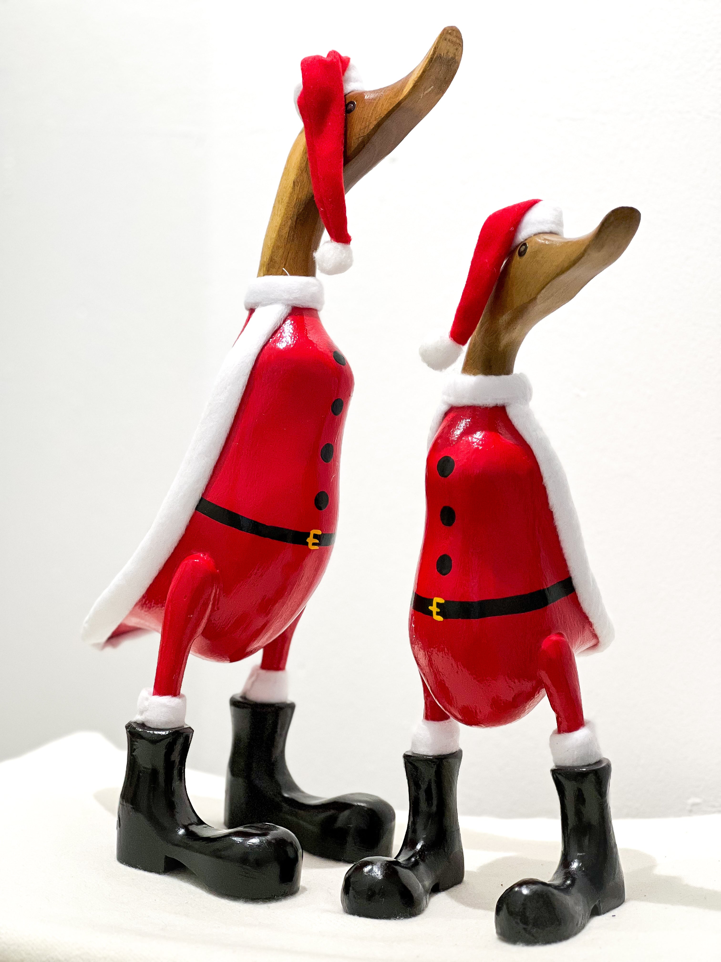 Christmas Duck Family