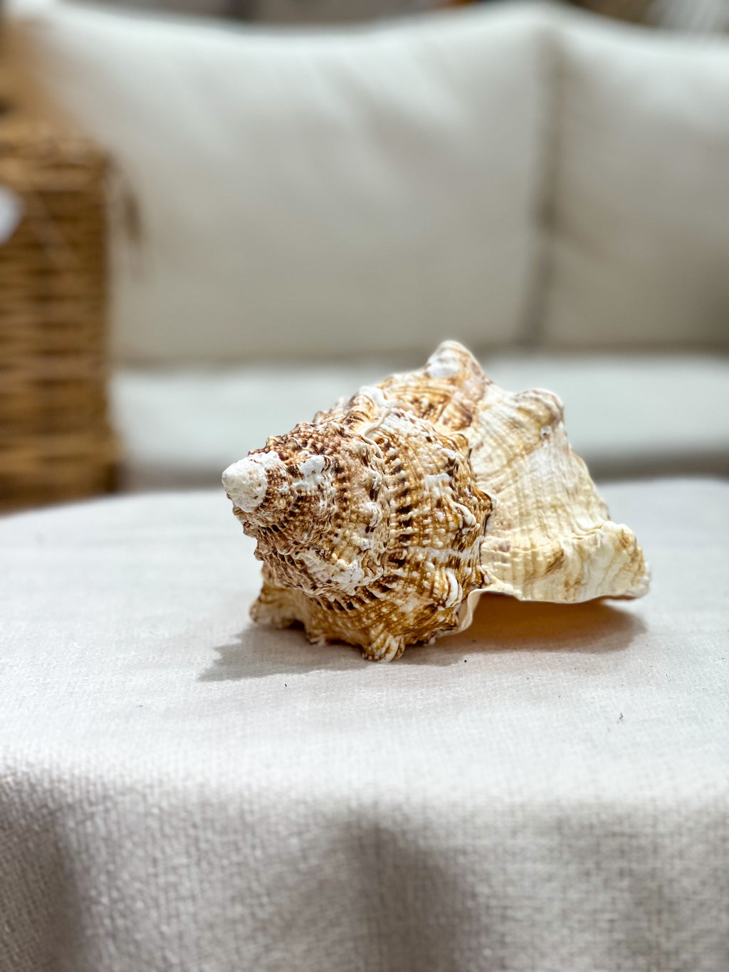 BURSA BUBO Shell
