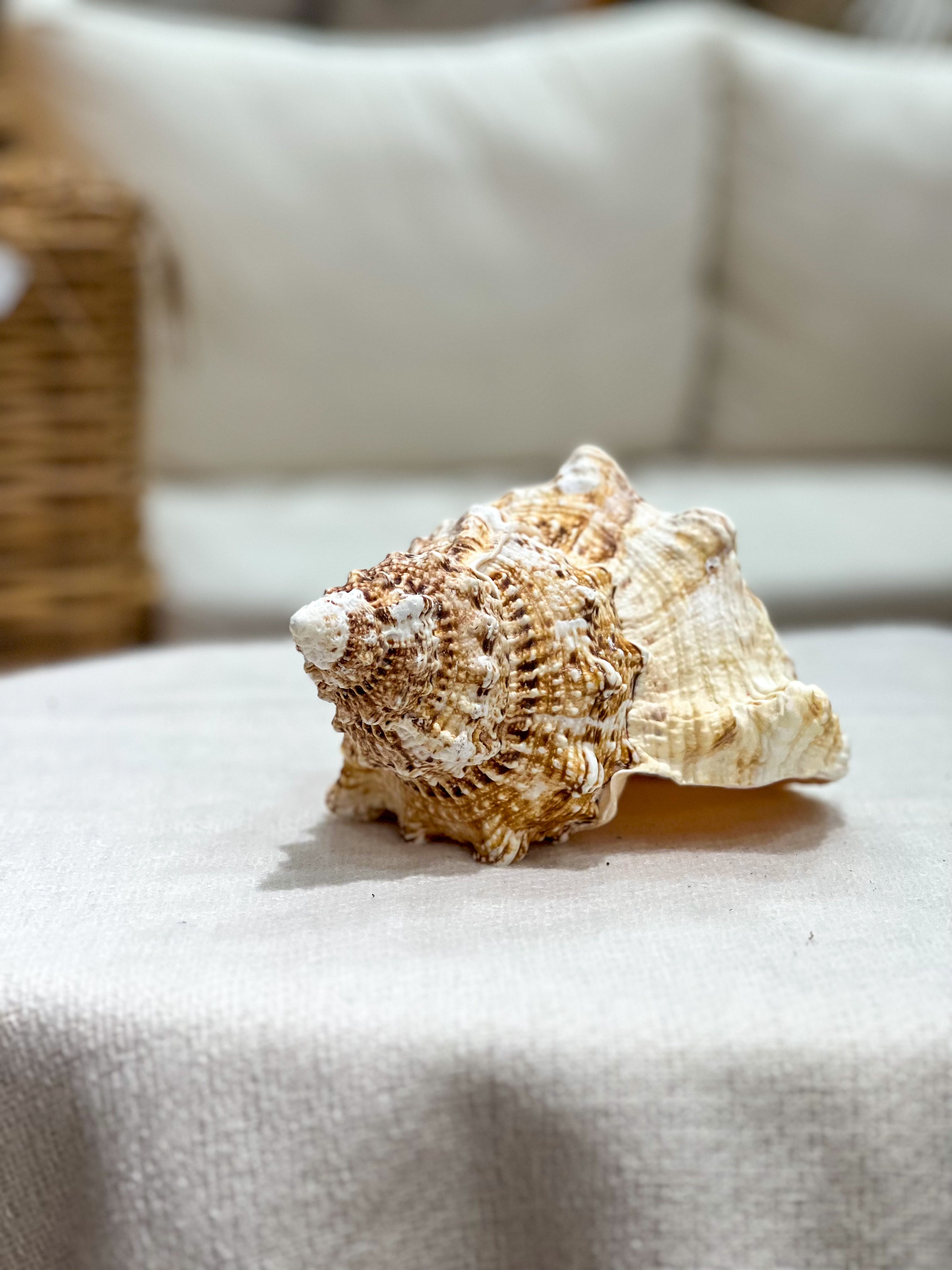 BURSA BUBO Shell