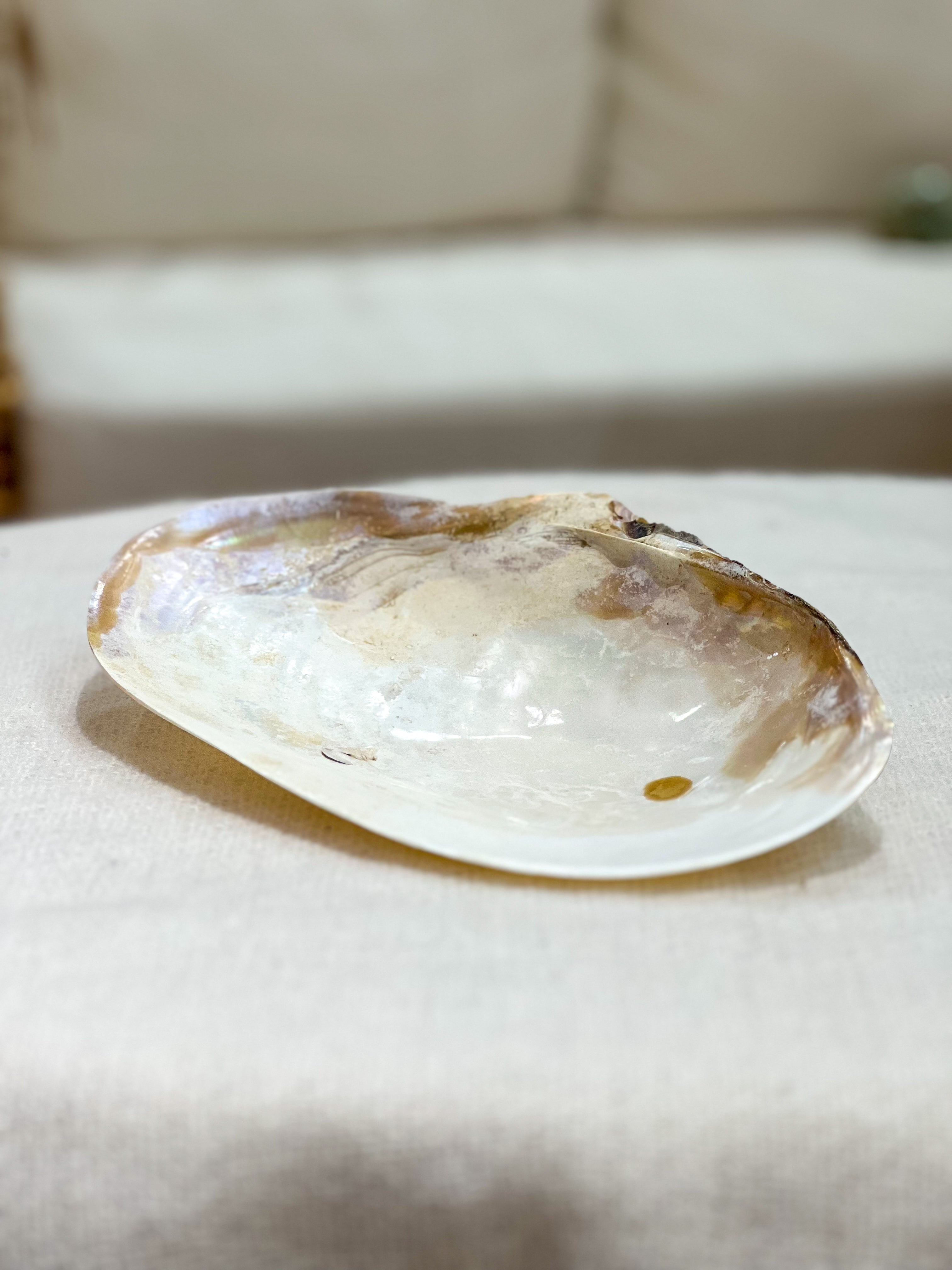 OSTRYGA Shell